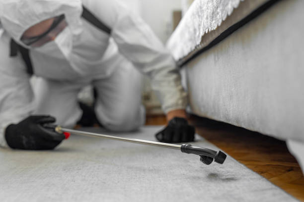 Professional Bed Bug Control technician working in Patton Village, TX
