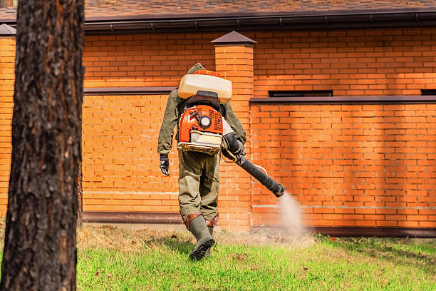 Trusted Bed Bug Control service in Patton Village, TX - Nex Pest Control